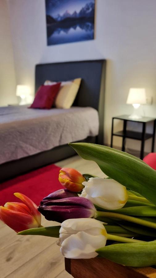 דוברובניק Apartment Stradun In The Heart Of Old City מראה חיצוני תמונה
